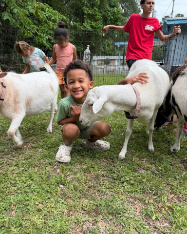 Petting the goats