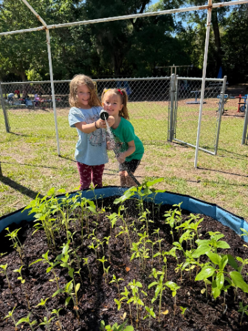 Watering the garden